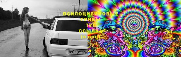 apvp Наволоки